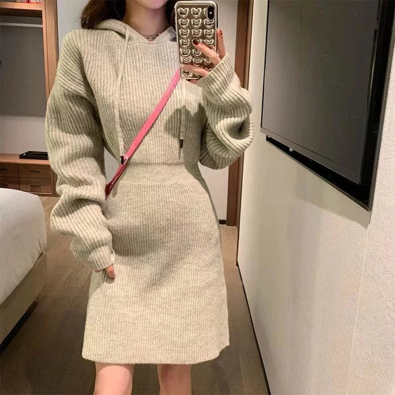 MEXZT Streetwear Knitted Mini Dress Women Hooded Sweater A Line Dresses Winter Korean Solid High Waist Slim Casual Vestidos New voguable